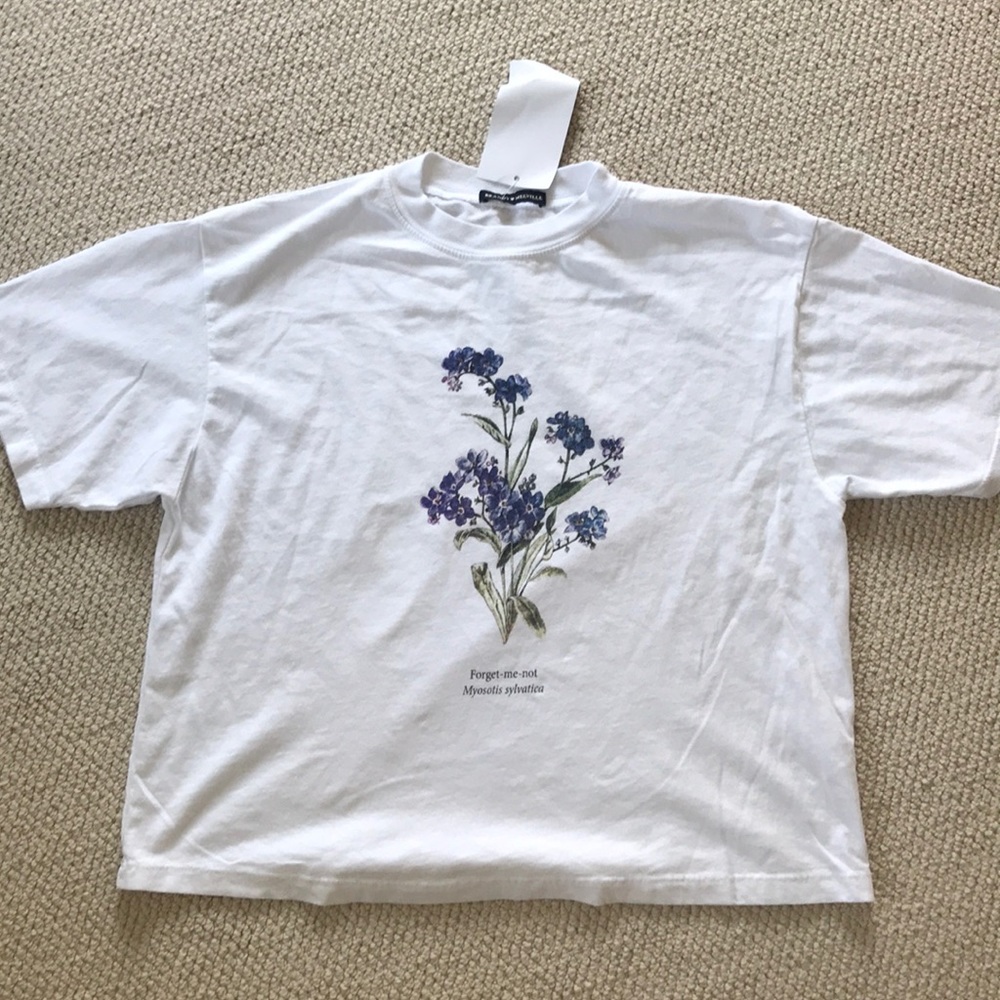 Aleena Forget Me Not Top